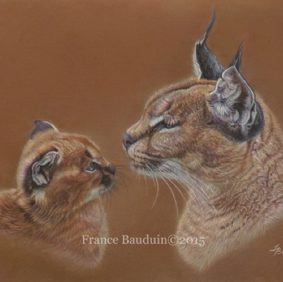 Caracal cub & mother - 26.5 hours
Terracotta Pastelmat
13.5" x 18.5"
Ref: Chris Saunderson